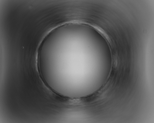 X0000089361006200706291038