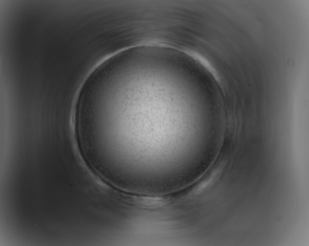 X0000089361007200706291037