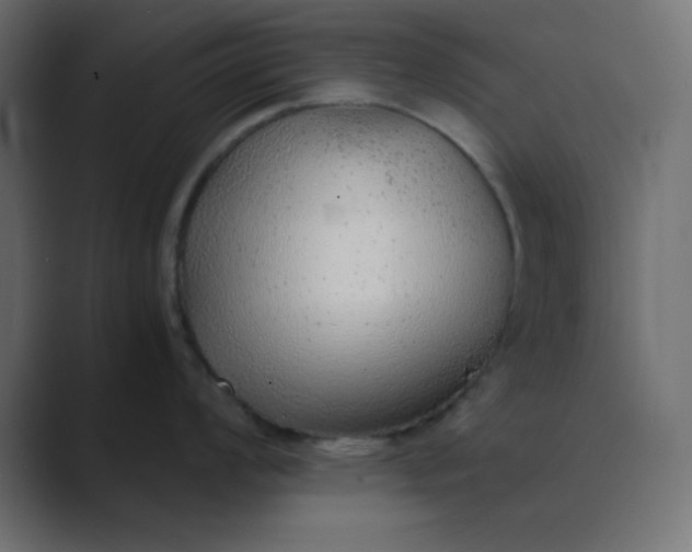 X0000089361008200706291037