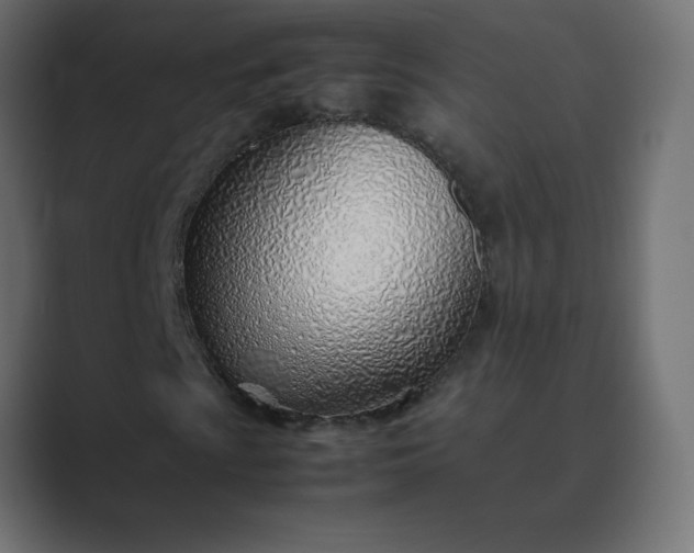 X0000089361009200706291037