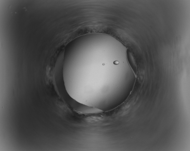 X0000089361010200706291037