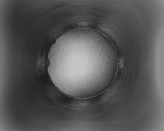 X0000089361011200706291037