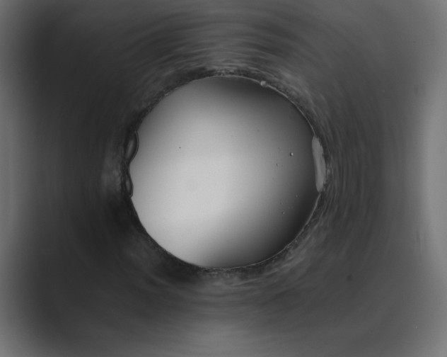 X0000089361012200706291037