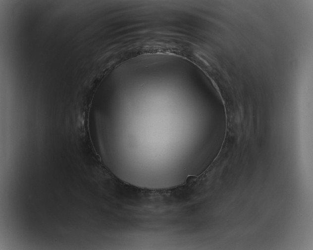 X0000089361013200706291037