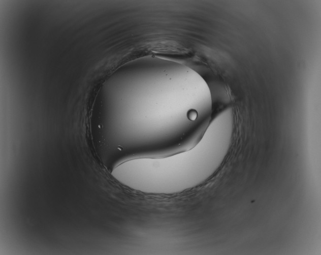 X0000089361014200706291037