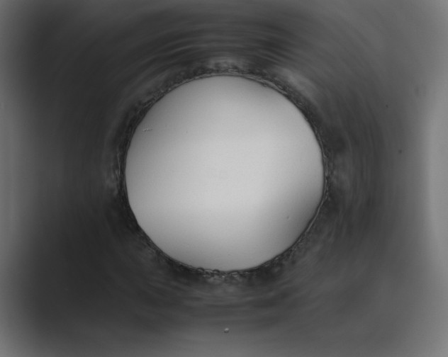 X0000089361015200706291037