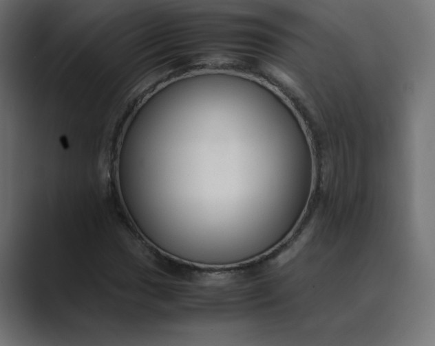 X0000089361017200706291037