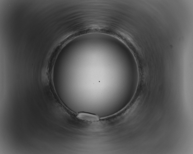 X0000089361018200706291037