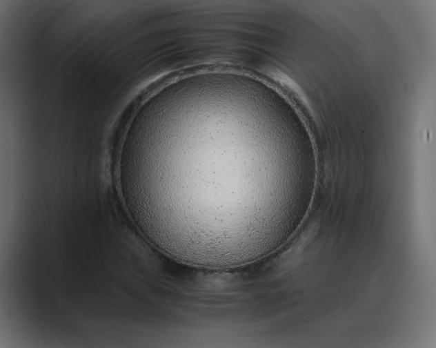 X0000089361019200706291037