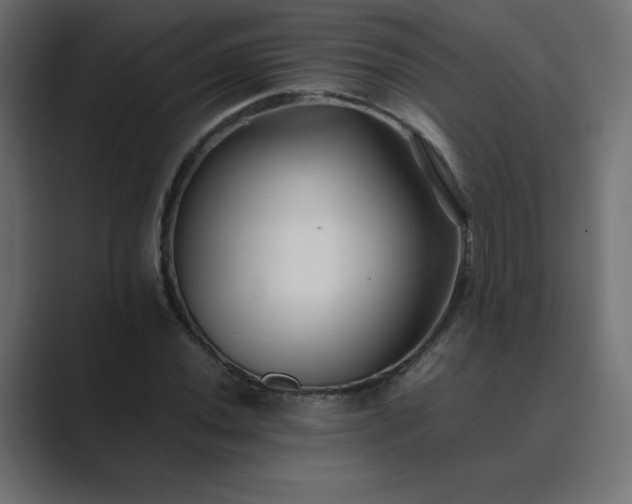 X0000089361020200706291037