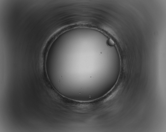 X0000089361021200706291037