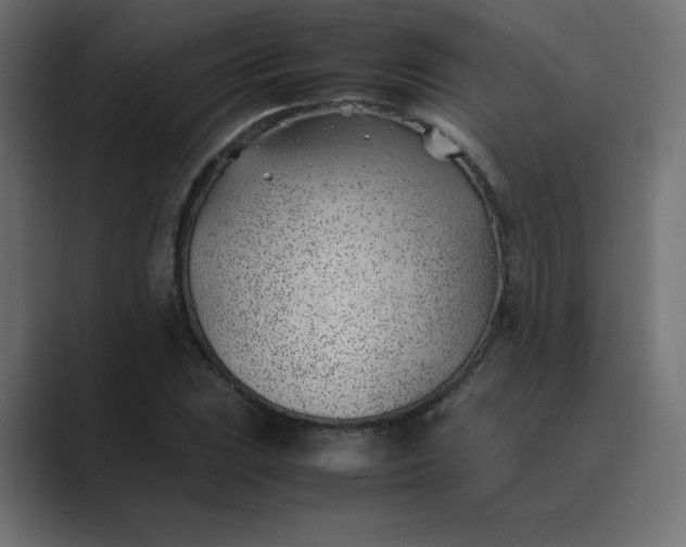 X0000089361023200706291037