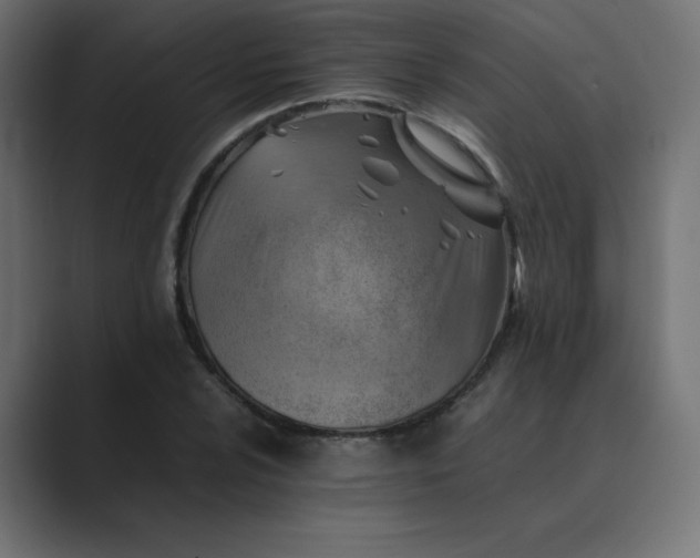 X0000089361024200706291037