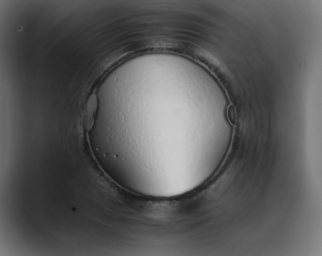 X0000089361025200706291037