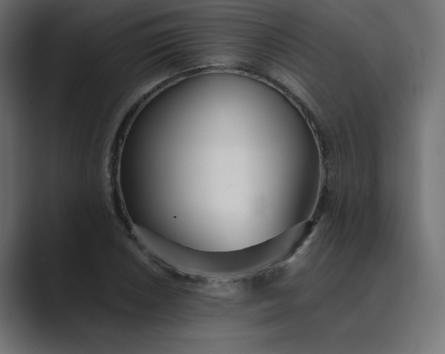 X0000089361026200706291037