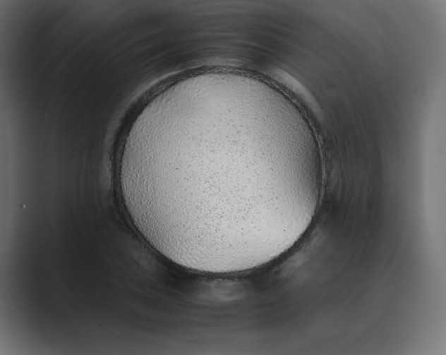 X0000089361027200706291037