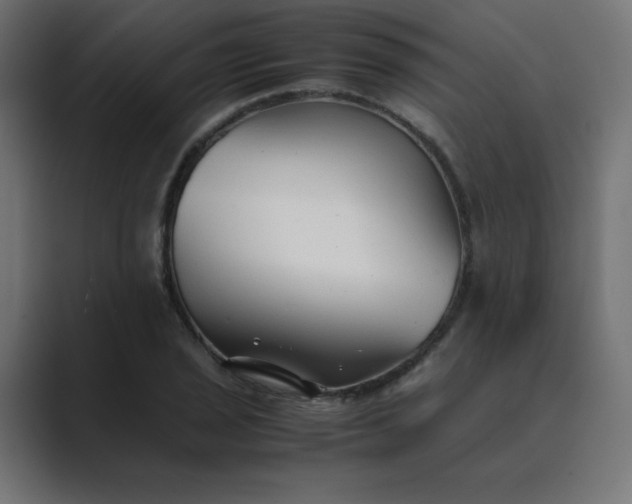 X0000089361029200706291037