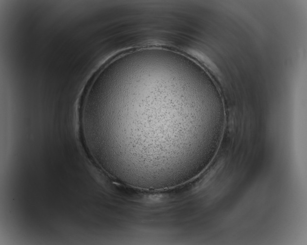 X0000089361031200706291037