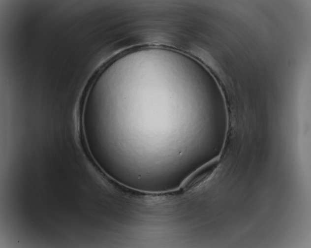 X0000089361032200706291037