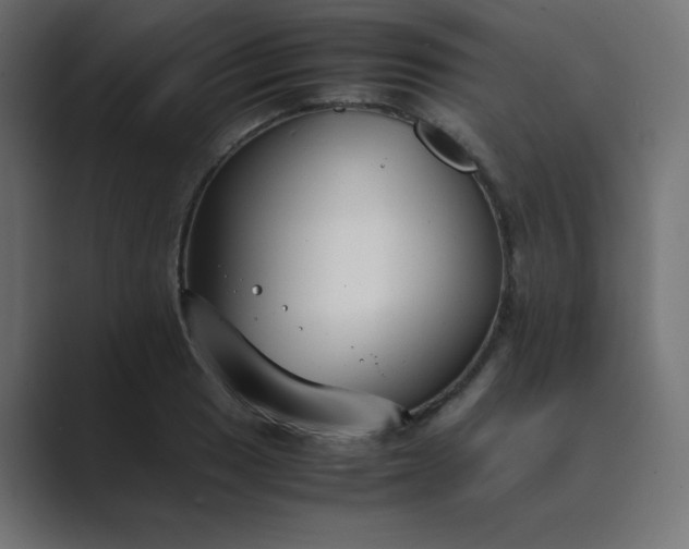 X0000089361033200706291037