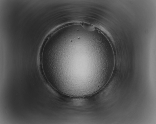 X0000089361037200706291037