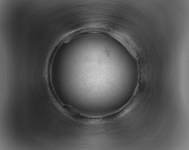 X0000089361038200706291037