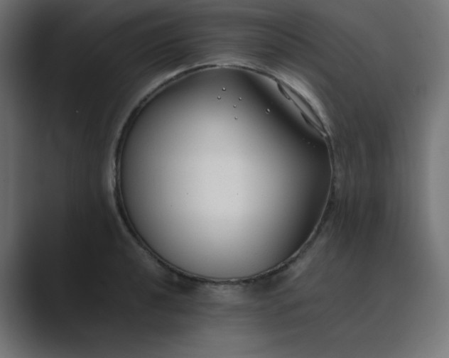 X0000089361040200706291037