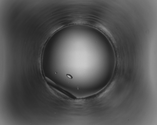 X0000089361041200706291037