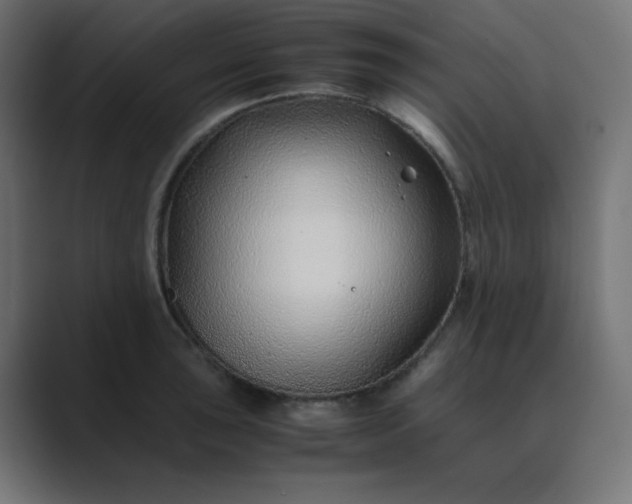 X0000089361043200706291037