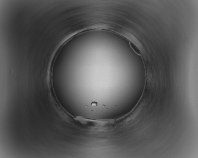 X0000089361044200706291037