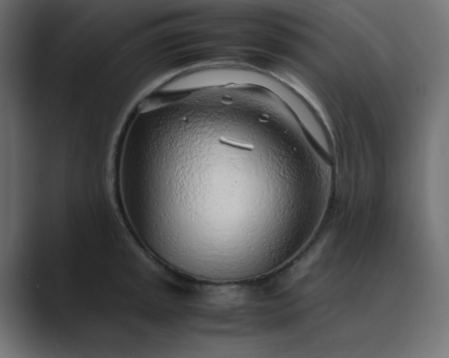 X0000089361045200706291037