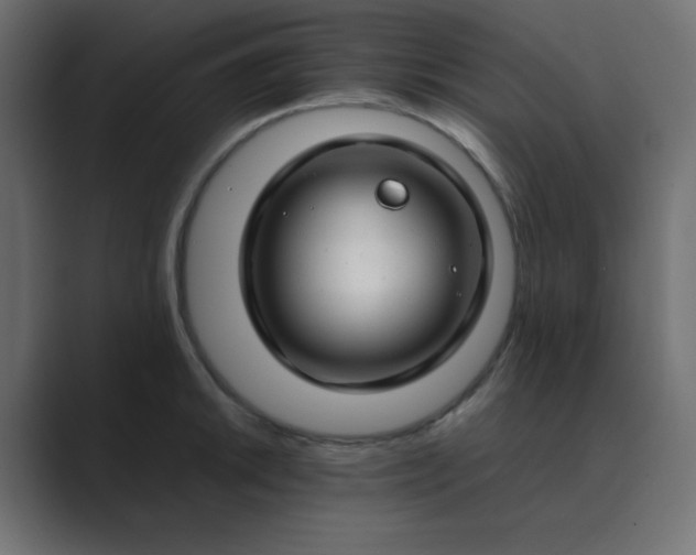 X0000089361046200706291037