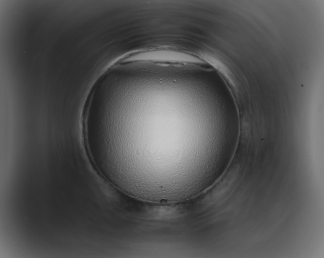 X0000089361047200706291037