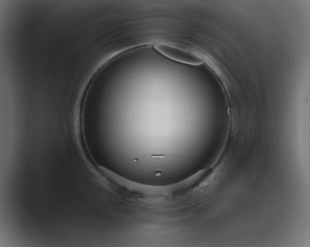 X0000089361048200706291037