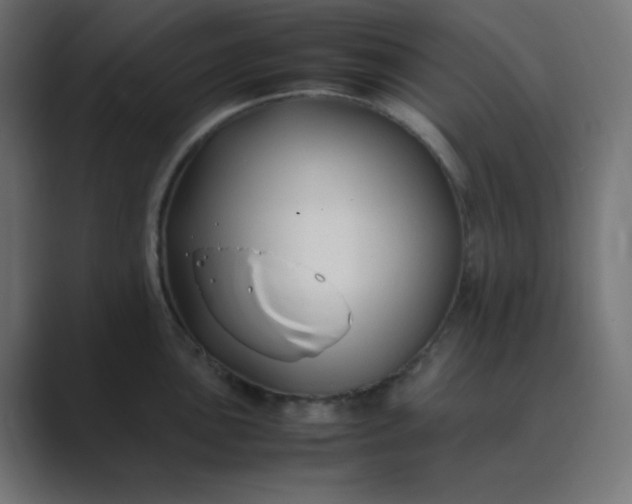 X0000089361051200706291037