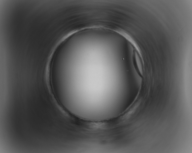 X0000089361053200706291037