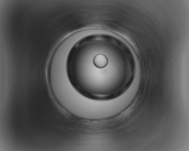 X0000089361054200706291037