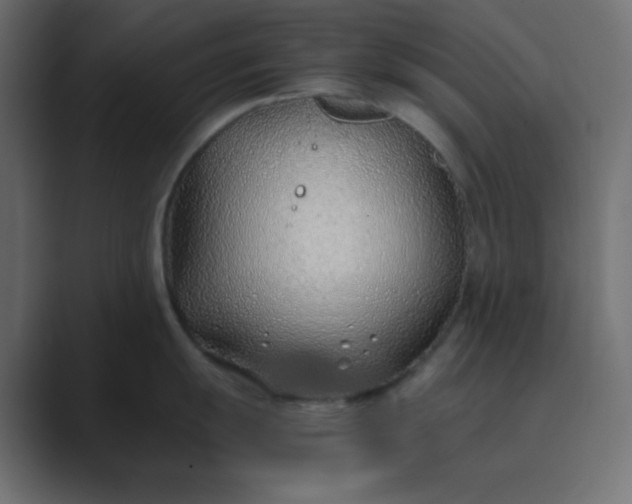 X0000089361055200706291037