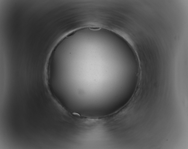 X0000089361056200706291037