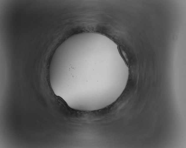 X0000089361057200706291037