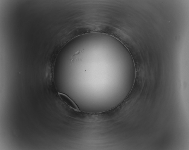 X0000089361058200706291037