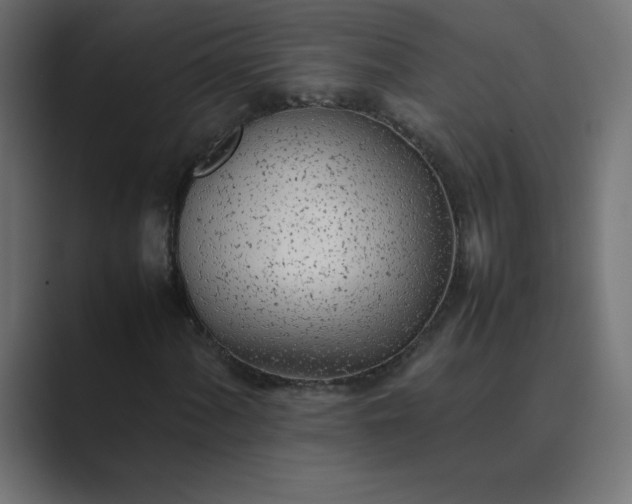 X0000089361060200706291037