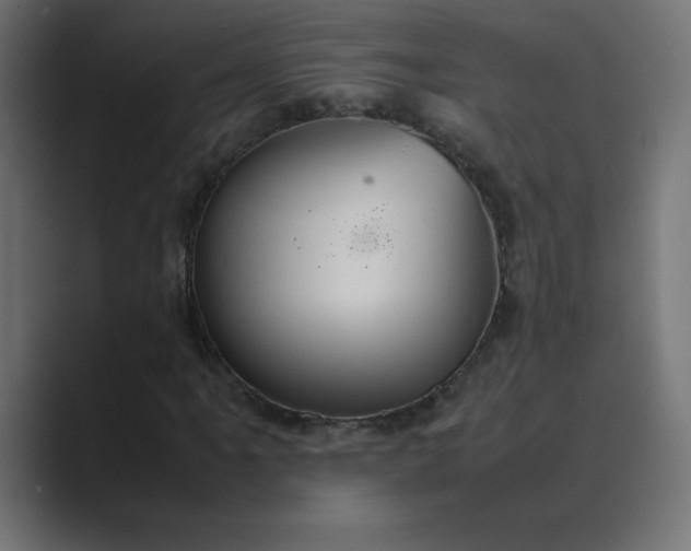 X0000089361061200706291037