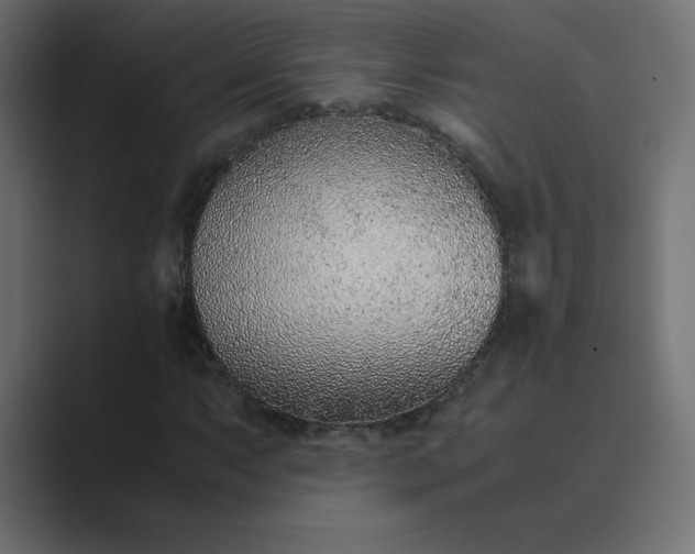 X0000089361063200706291037