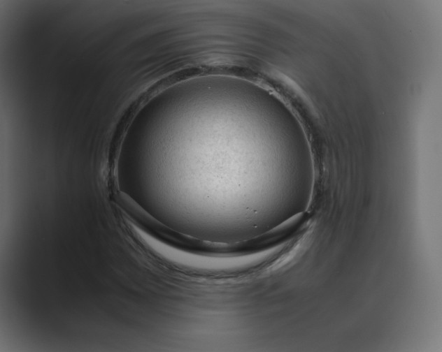 X0000089361065200706291037