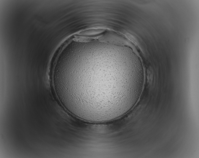 X0000089361068200706291037