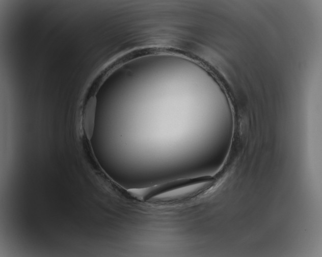 X0000089361069200706291037