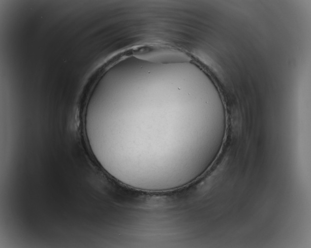 X0000089361070200706291037