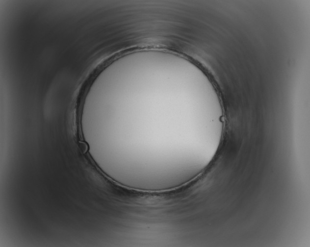 X0000089361075200706291037