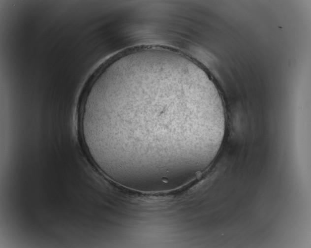 X0000089361076200706291037